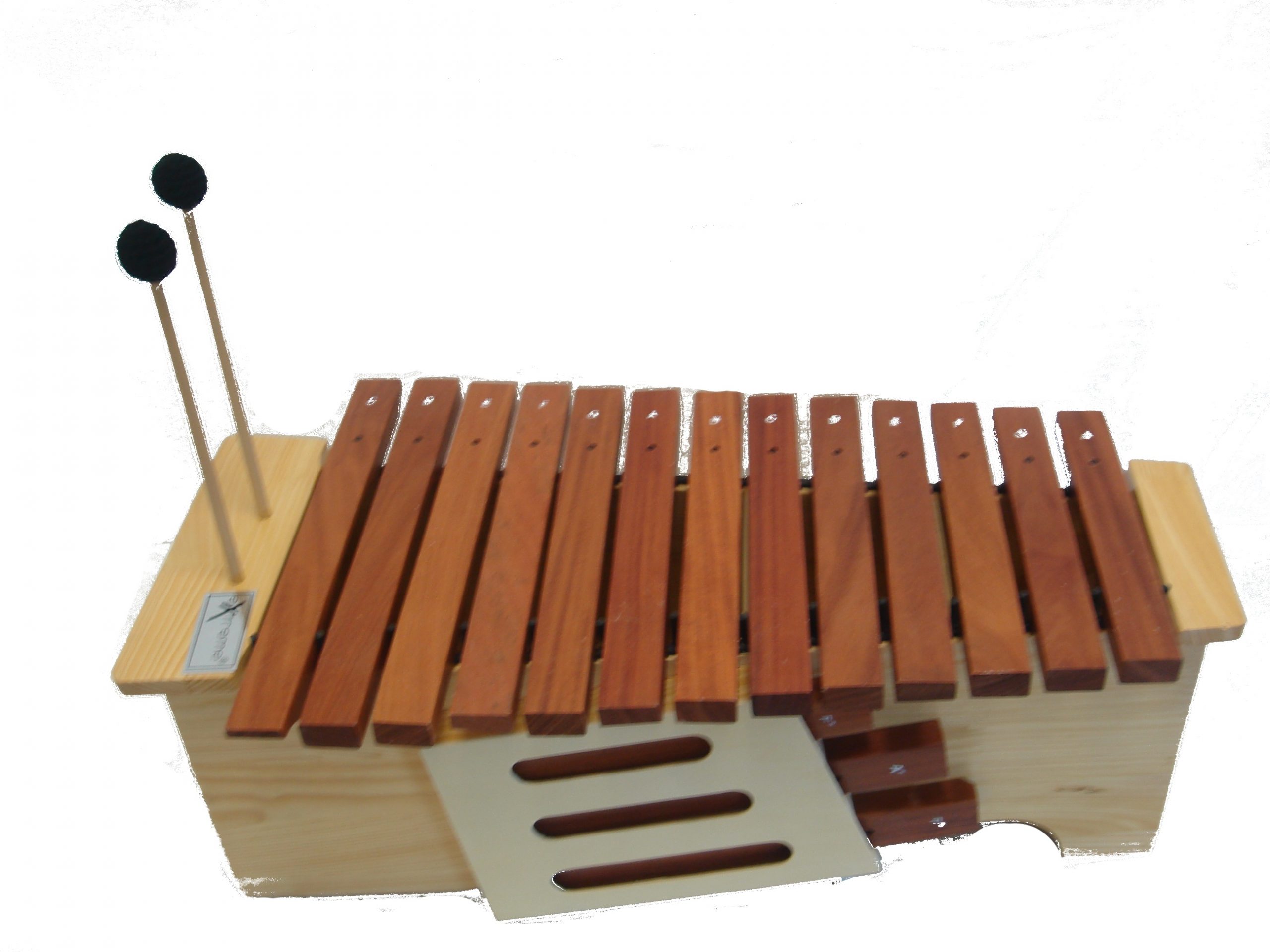 EXTREME DP5000AX XILOFONO PER ALTO