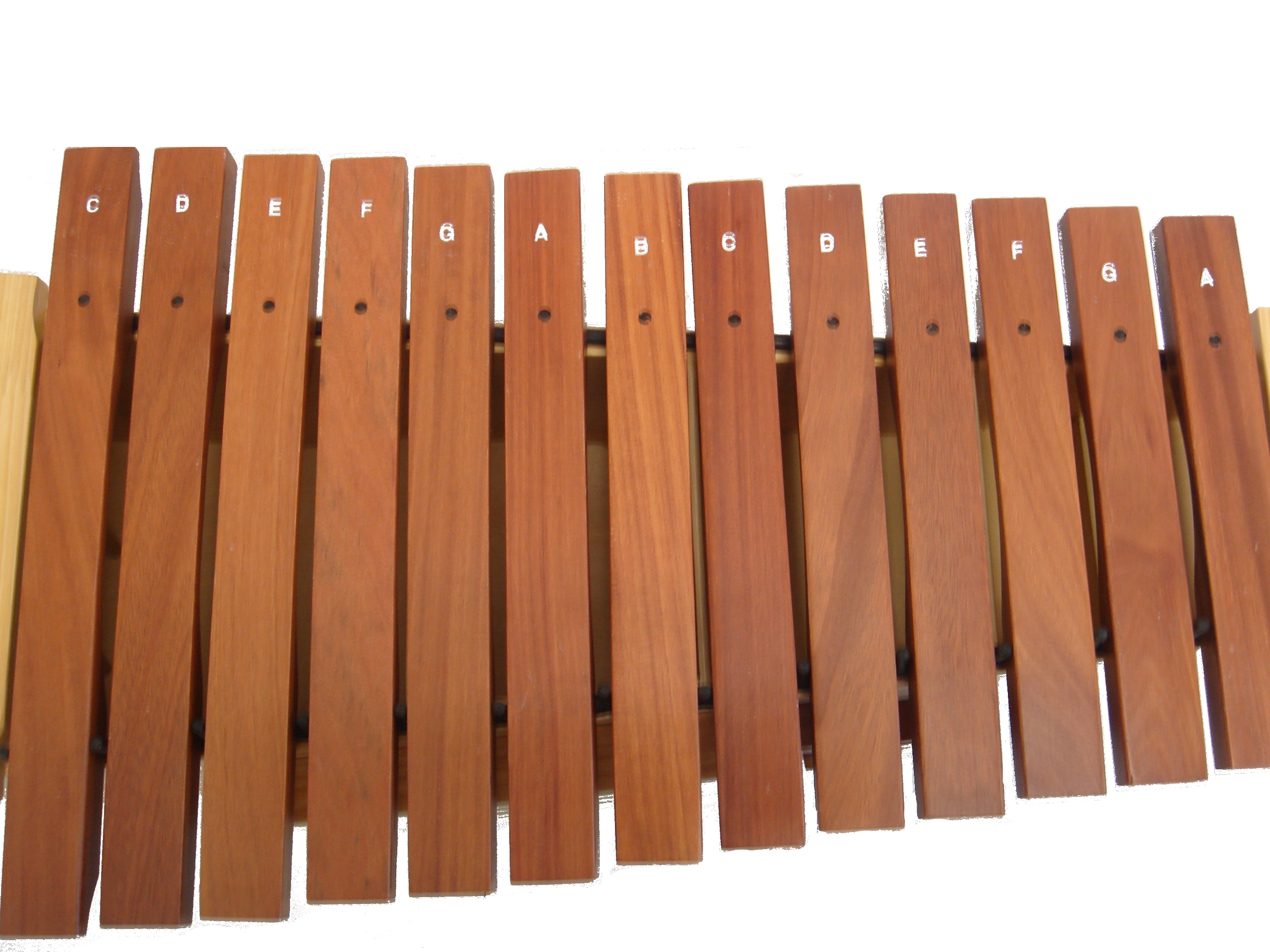 EXTREME DP5000AX XILOFONO PER ALTO