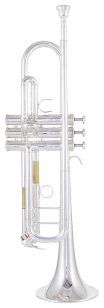 Tromba Studente Tromba Sib Flat Ottone Dorato Verniciato Squisito Durevole Strumento Musicale Strumenti In Ottone