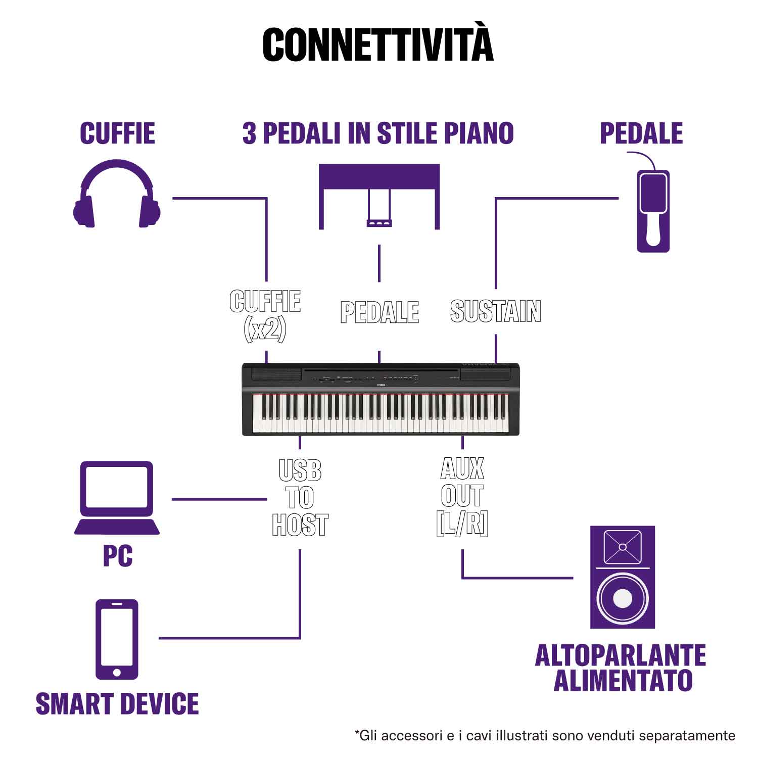 P-121B-12-connectivity