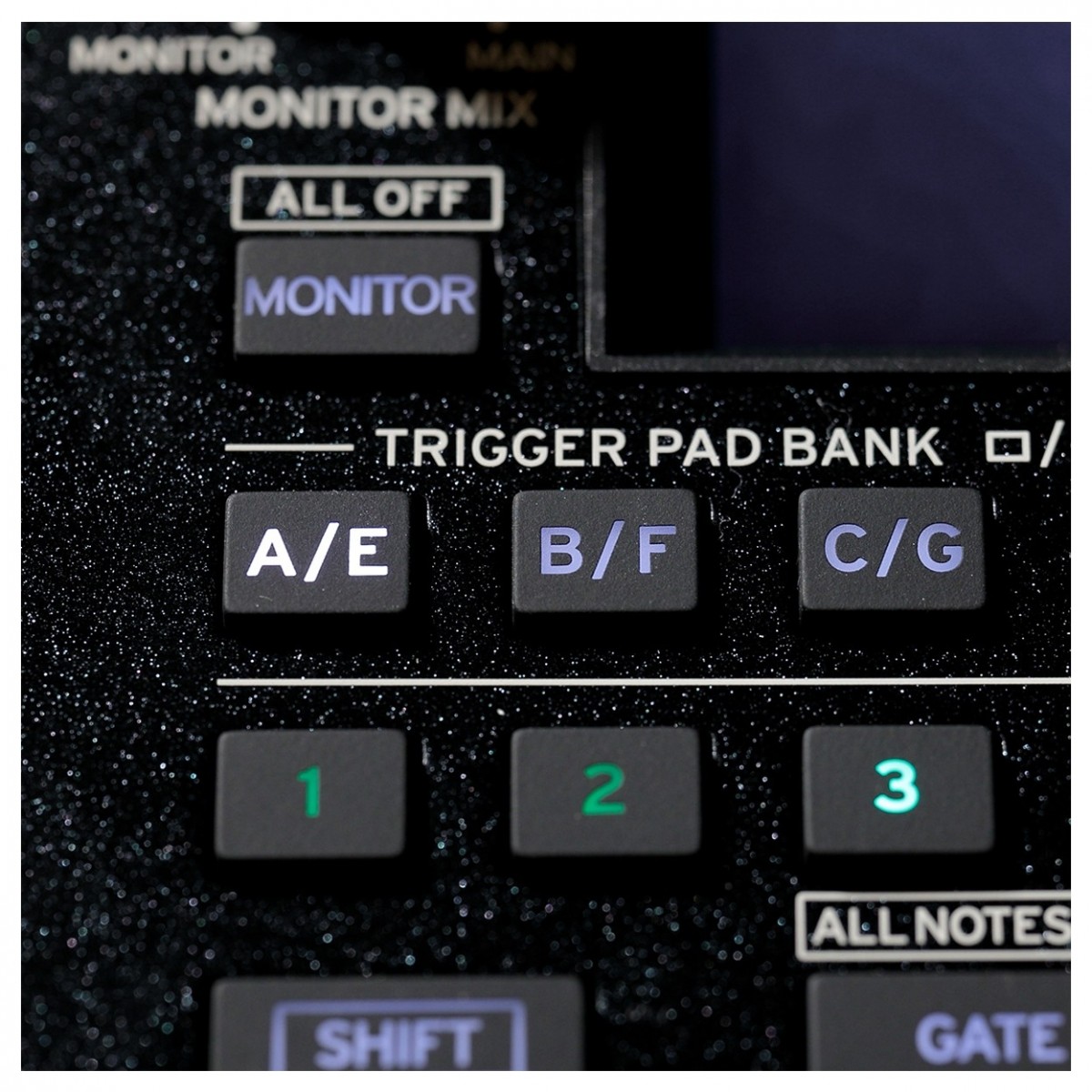 KORG KAOSS REPLAY PROCESSORE DI SEGNALE CON 128 EFFETTI CONTROLLABILI IN TEMPO REALE 4