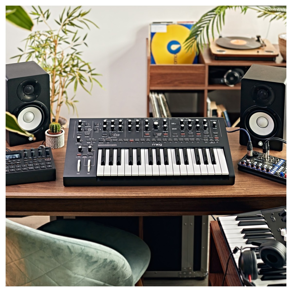 MOOG MESSENGER SINTETIZZATORE ANALOGICO MONOFONICO 32 TASTI 7