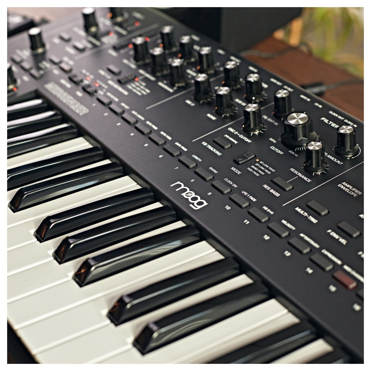 MOOG MESSENGER SINTETIZZATORE ANALOGICO MONOFONICO 32 TASTI 8