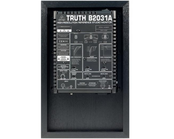 behringer-b2031a-truth-coppia-1